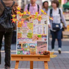 10月のイベント『第1回 秋の大収穫祭 2016』